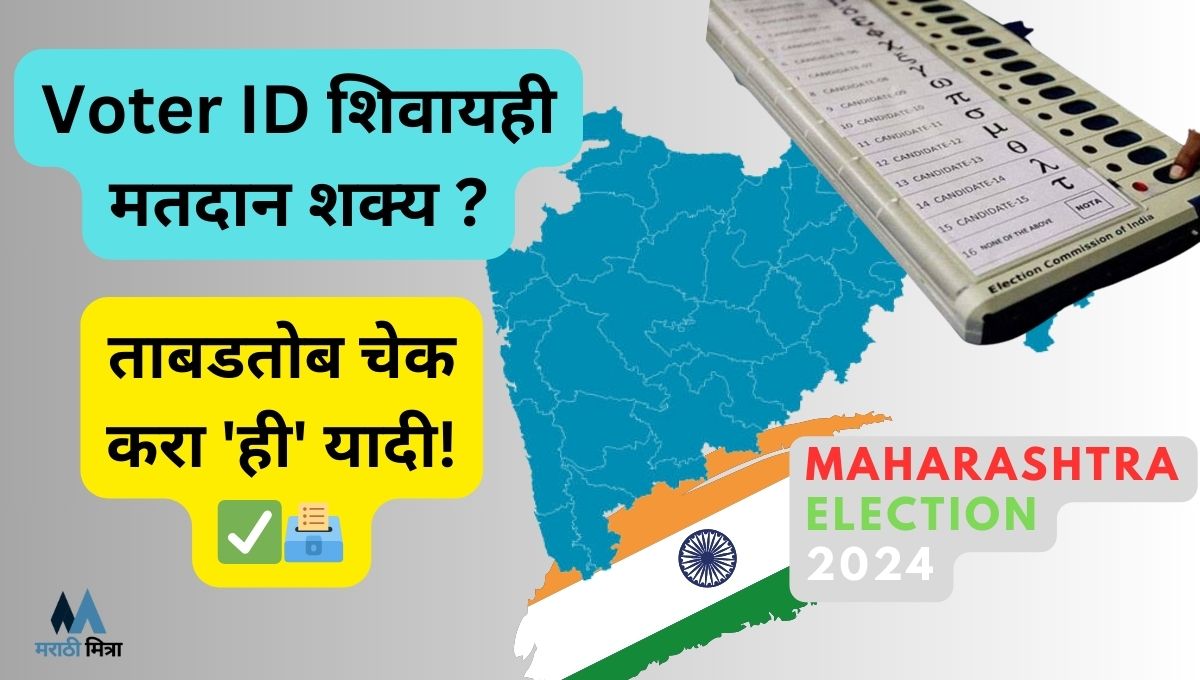 Maharashtra Assembly election 2024