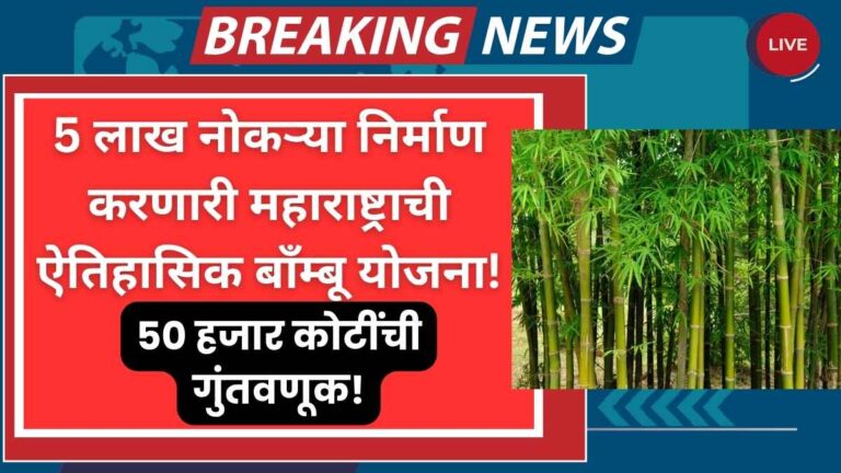 Bamboo Industry Policy 2025 in Maharashtra
