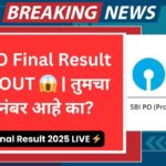 SBI PO Final Result 2025