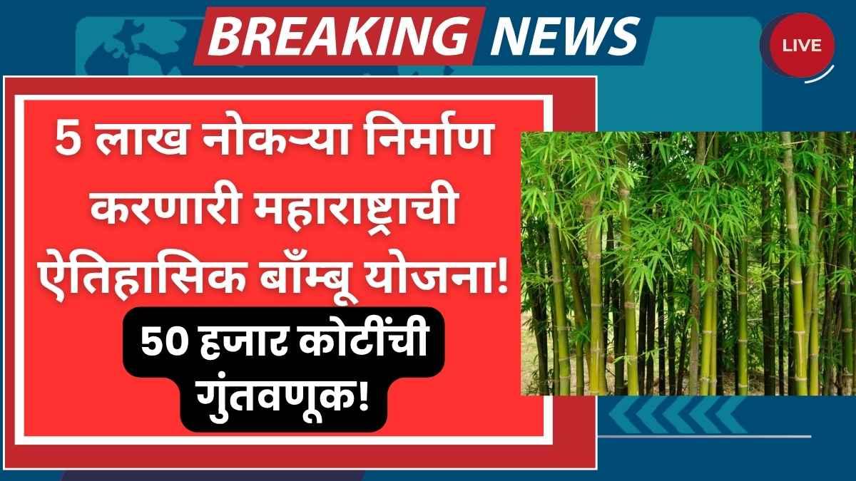 Bamboo Industry Policy 2025 in Maharashtra