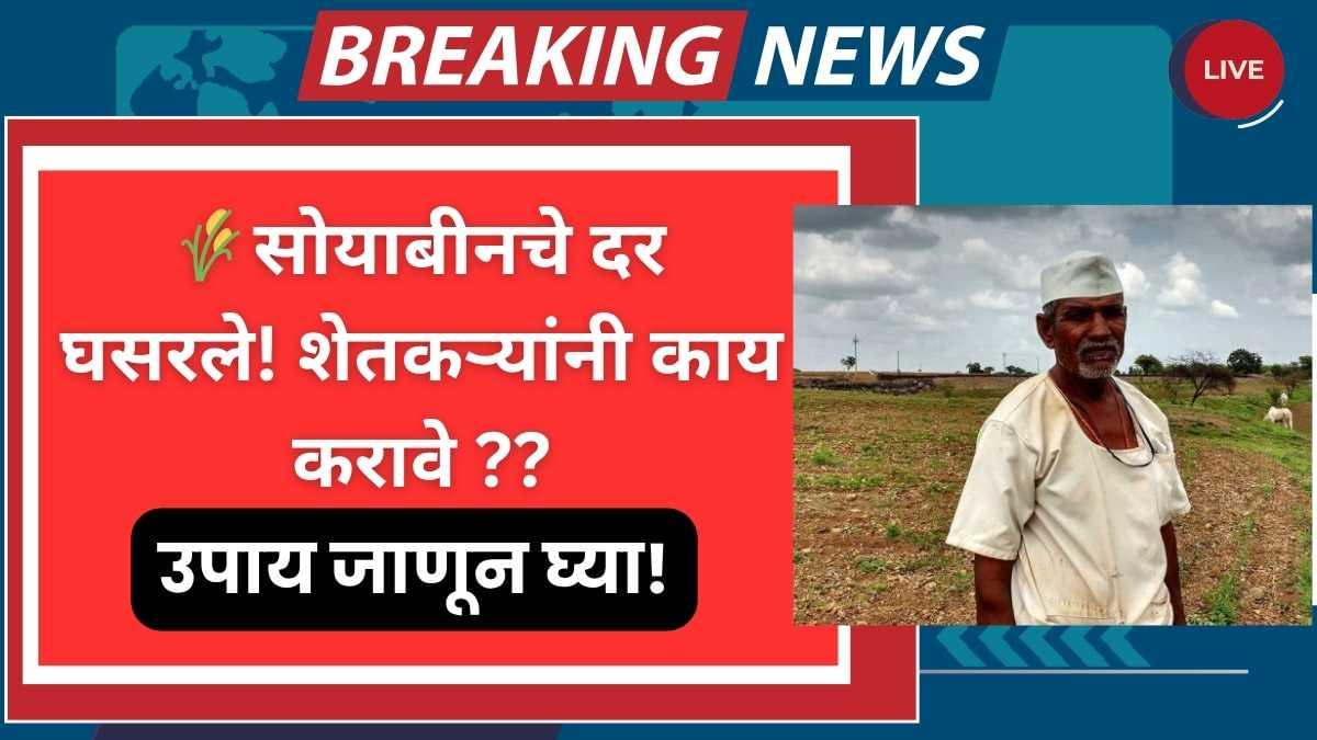 Soybean Market in Maharashtra